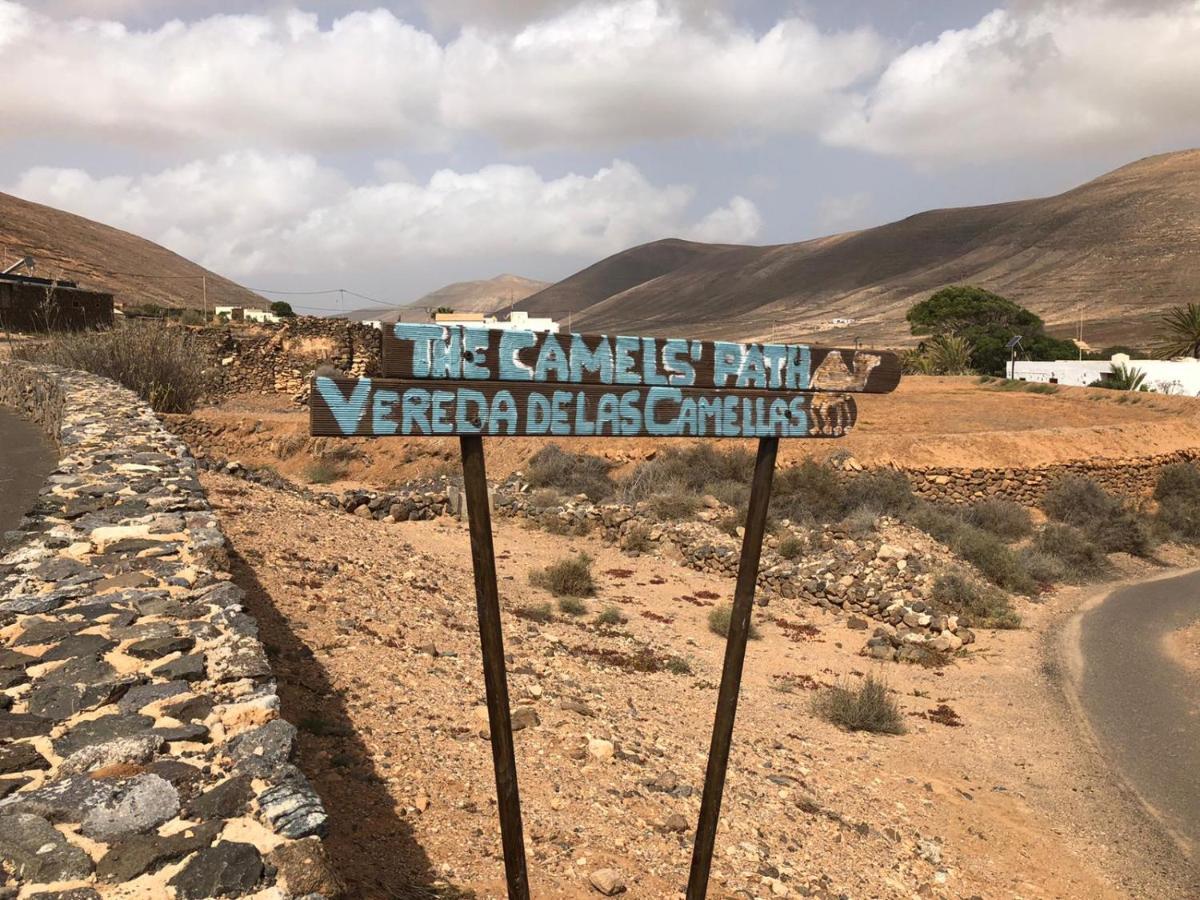 Hotel Vereda De Las Camellas à Puerto del Rosario  Extérieur photo